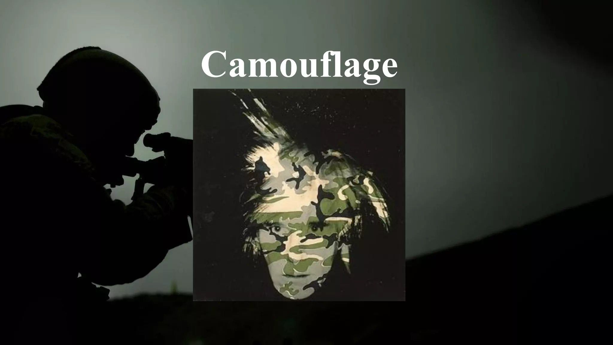 Camouflage
 