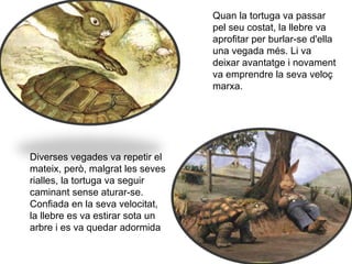 Quan la tortuga va passar
                                  pel seu costat, la llebre va
                                  aprofitar per burlar-se d'ella
                                  una vegada més. Li va
                                  deixar avantatge i novament
                                  va emprendre la seva veloç
                                  marxa.




Diverses vegades va repetir el
mateix, però, malgrat les seves
rialles, la tortuga va seguir
caminant sense aturar-se.
Confiada en la seva velocitat,
la llebre es va estirar sota un
arbre i es va quedar adormida
 