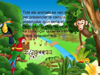 Tots els animals es van reunir
per presenciar la carrera. Es va
assenyalar quin seria el camí i
l'arribada. Un cop va estar llest,
va començar la carrera entre
grans aplaudiments
 