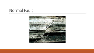 Normal Fault
 