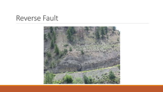 Reverse Fault
 