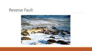 Reverse Fault
 