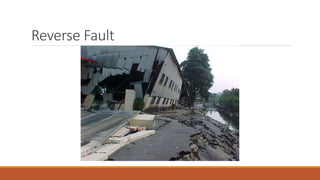 Reverse Fault
 