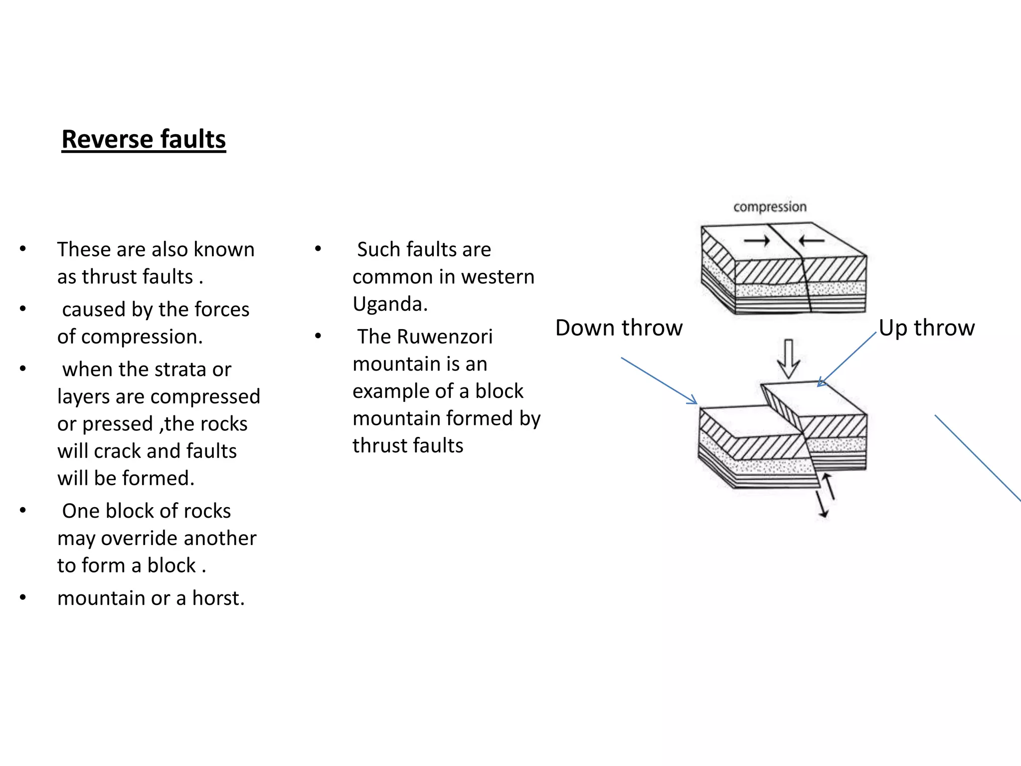 Reverse faults
• These are also known
as thrust faults .
• caused by the forces
of compression.
• when the strata or
layers are compressed
or pressed ,the rocks
will crack and faults
will be formed.
• One block of rocks
may override another
to form a block .
• mountain or a horst.
• Such faults are
common in western
Uganda.
• The Ruwenzori
mountain is an
example of a block
mountain formed by
thrust faults
Down throw Up throw
 