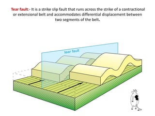 Tear fault:- It is a strike slip fault that runs across the strike of a contractional
or extensional belt and accommodates differential displacement between
two segments of the belt.
 