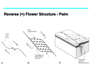Reverse (+) Flower Structure - Palm
 
