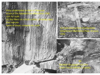 Shiny slickensided surface in Paleozoic
strata of the Appalachians (Maryland, USA);
coin for scale.
(b) Slip fibers on a fault surface, showing steps
that indicate
sense of shear; compass for scale
(b)
Banded clay gouge from the
Lewis Thrust (Alberta, Canada).
(a) Fault breccia from the Buckskin
detachment (Battleship Peak, Arizona,
USA)
 