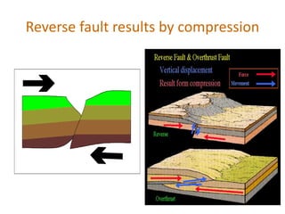 Reverse fault results by compression
 