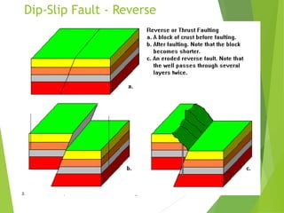 Dip-Slip Fault - Reverse
3. Faults are classified by the kinds of movement that occur along them
 