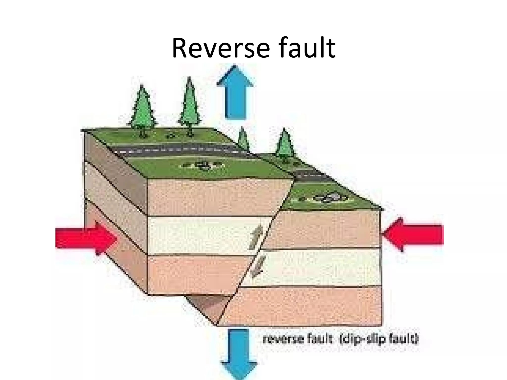 Reverse fault