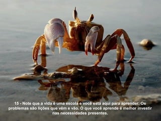 15 - Note que a vida é uma escola e você está aqui para aprender. Os
problemas são lições que vêm e vão. O que você aprende é melhor investir
nas necessidades presentes.
 
