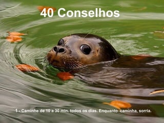 40 Conselhos
1 - Caminhe de 10 a 30 min. todos os dias. Enquanto caminha, sorria.
 