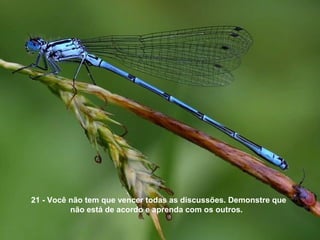 21 - Você não tem que vencer todas as discussões. Demonstre que
não está de acordo e aprenda com os outros.
 