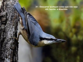 31 - Descartar qualquer coisa que não seja
útil, bonito e divertido.
 