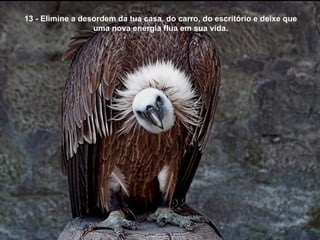13 - Elimine a desordem da tua casa, do carro, do escritório e deixe que uma nova energia flua em sua vida. 
