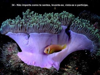 34 - Não importa como te sentes, levante-se, vista-se e participe. 