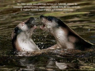 14 - Não gaste seu precioso tempo em fofocas, coisas do  passado, pensamentos negativos e coisas fora do seu controle.  É melhor investir sua energia em coisas positivas. 