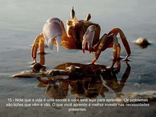 15 - Note que a vida é uma escola e você está aqui para aprender. Os problemas são lições que vêm e vão. O que você aprende é melhor investir nas necessidades presentes. 