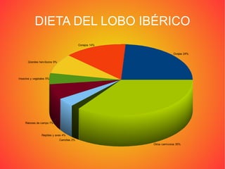 Es un “superdepredador” y se caracteriza por sus largos y puntiagudos colmillos, su amplia caja torácica y sus voluminosos músculos maseteros. 