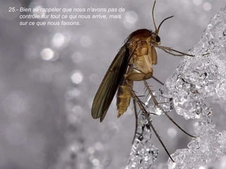 25.-  Bien se rappeler que nous n'avons pas de contrôle sur tout ce qui nous arrive, mais sur ce que nous faisons .  