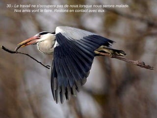 30.-  Le travail ne s’occupera pas de nous lorsque nous serons malade. Nos amis vont le faire. Restons en contact avec eux. 