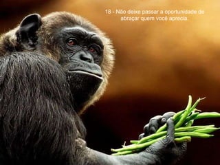 18 - Não deixe passar a oportunidade de abraçar quem você aprecia. 