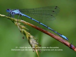 21 - Você não tem que vencer todas as discussões.  Demonstre que não está de acordo e aprenda com os outros.  