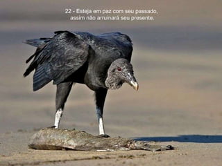 22 - Esteja em paz com seu passado,  assim não arruinará seu presente. 