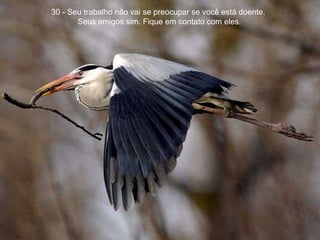 30 - Seu trabalho não vai se preocupar se você está doente.  Seus amigos sim. Fique em contato com eles. 