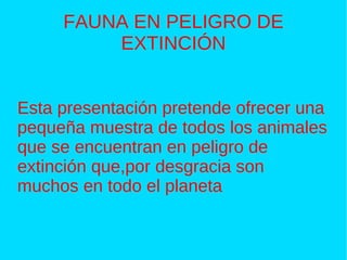 FAUNA EN PELIGRO DE EXTINCIÓN Esta presentación pretende ofrecer una pequeña muestra de todos los animales que se encuentran en peligro de extinción que,por desgracia son muchos en todo el planeta