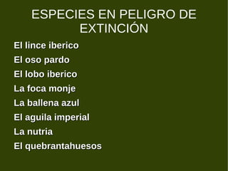 ESPECIES EN PELIGRO DE EXTINCIÓN El lince iberico El oso pardo  El lobo iberico La foca monje La ballena azul El aguila imperial La nutria El quebrantahuesos 