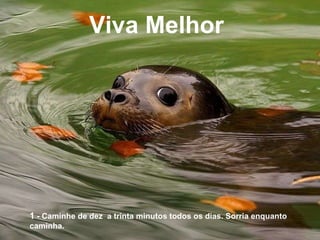 Viva Melhor    1  - Caminhe de dez  a trinta minutos todos os dias. Sorria enquanto caminha.  