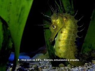 5 - Viva com os 3 E's... Energia, entusiasmo e empatia. 