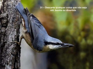 31 – Descarte qualquer coisa que não seja útil, bonita ou divertida. 