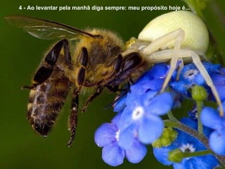   4 - Ao levantar pela manhã diga sempre: meu propósito hoje é... 