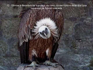 13 - Elimine a desordem da sua casa, do carro, do escritório e deixe que uma nova energia flua em sua vida. 
