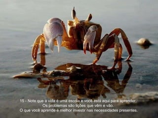 15 - Note que a vida é uma escola e você está aqui para aprender.  Os problemas são lições que vêm e vão.  O que você aprende é melhor investir nas necessidades presentes. 