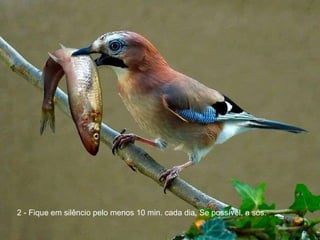 2 - Fique em silêncio pelo menos 10 min. cada dia. Se possível, a sós.  