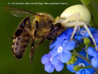   4 - Ao levantar pela manhã diga: Meu propósito hoje é... 