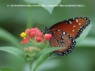   4 - Ao levantares pela manhã diga o seguinte: Meu propósito hoje é... 