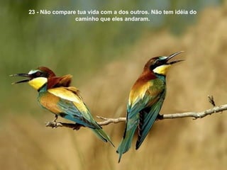 23 - Não compare tua vida com a dos outros. Não tem idéia do caminho que eles andaram. 
