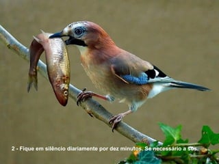 2 - Fique em silêncio diariamente por dez minutos. Se necessário a sós.  