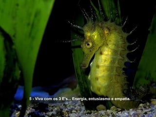5 - Viva com os 3 E's... Energia, entusiasmo e empatia. 