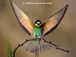 6 - Divirta-se mais do que antes.  