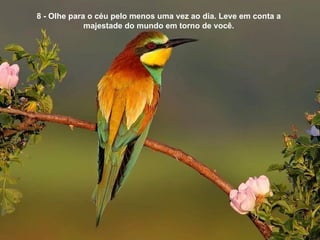 8 - Olhe para o céu pelo menos uma vez ao dia. Leve em conta a majestade do mundo em torno de você. 