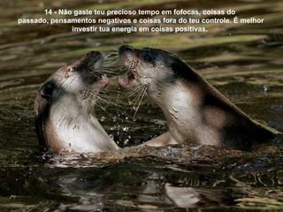 14 - Não gaste teu precioso tempo em fofocas, coisas do
passado, pensamentos negativos e coisas fora do teu controle. É melhor
              investir tua energia em coisas positivas.
 