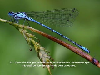 21 - Você não tem que vencer todas as discussões. Demonstre que
          não está de acordo e aprenda com os outros.
 