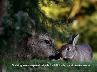24 - Ninguém é responsável pela tua felicidade, exceto você mesmo.
 