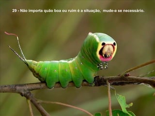 29 - Não importa quão boa ou ruim é a situação, mude-a se necessário.
 
