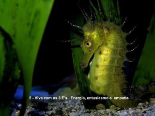 5 - Viva com os 3 E's...Energia, entusiasmo e empatia.
 